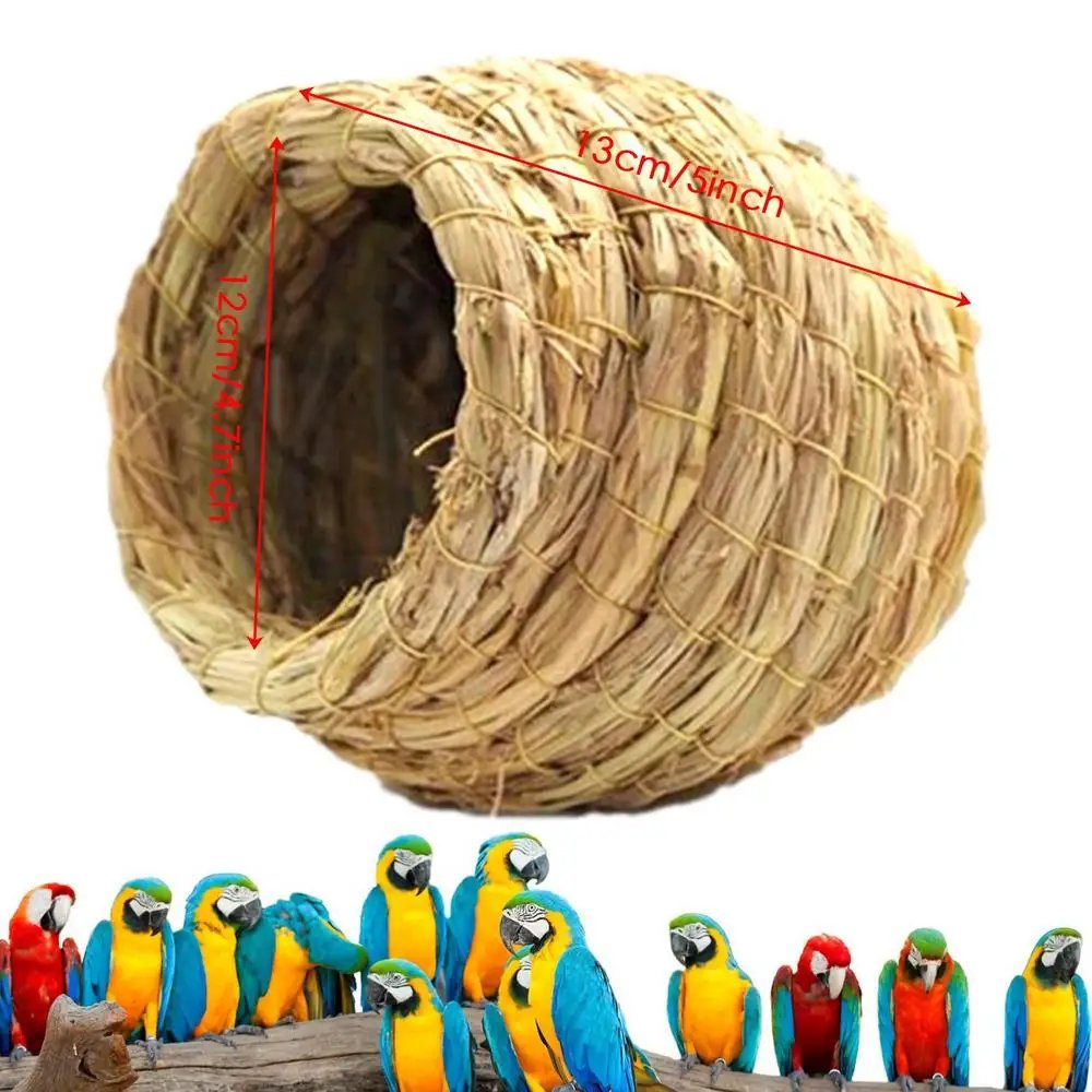 bird nest