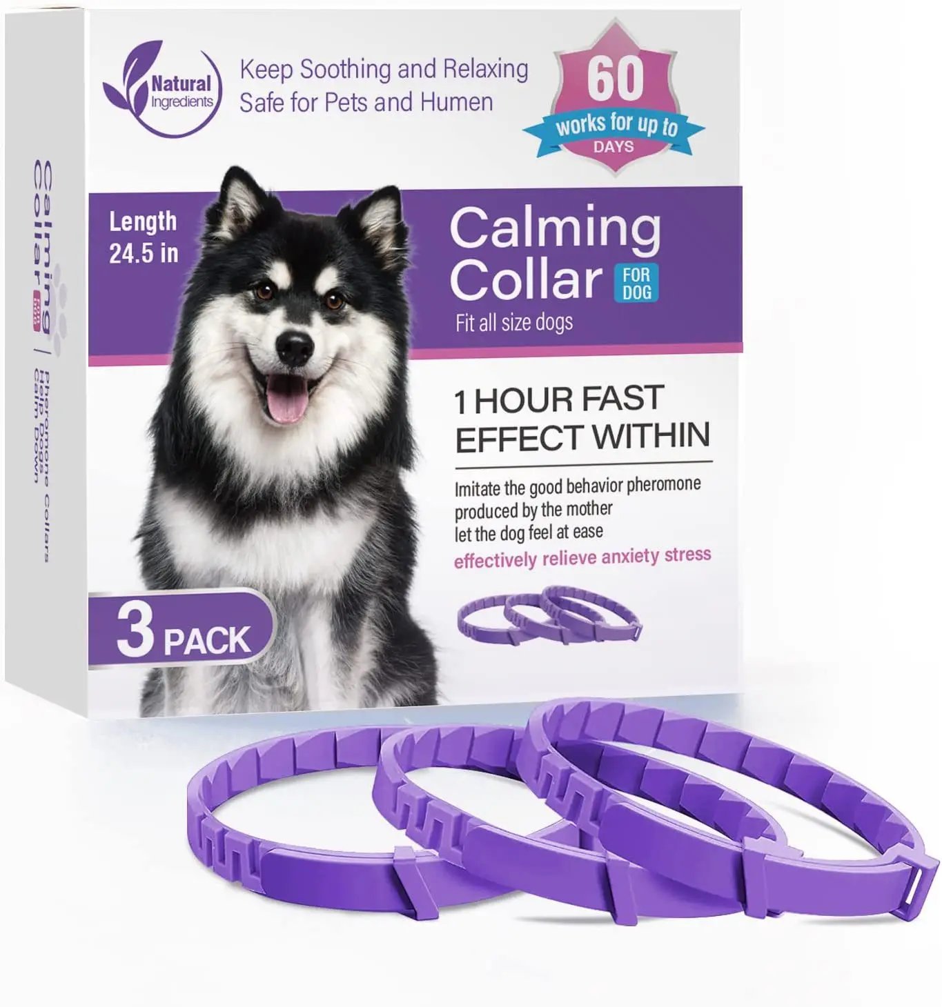 3Pc Dog 62cm-Purple