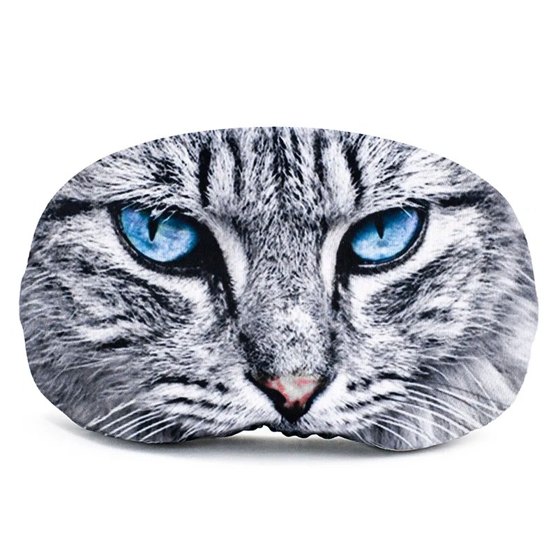 C1 cat