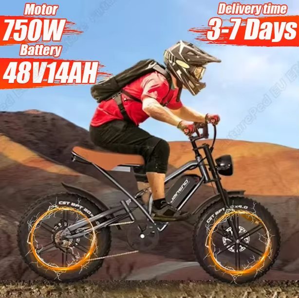 Jansno X50 Electric Bicycle 750W Powerful Motor 48V14AH Lithium Battery Mountain Aldult Electric Bike 20*4.0-In Fat Tire E-bike