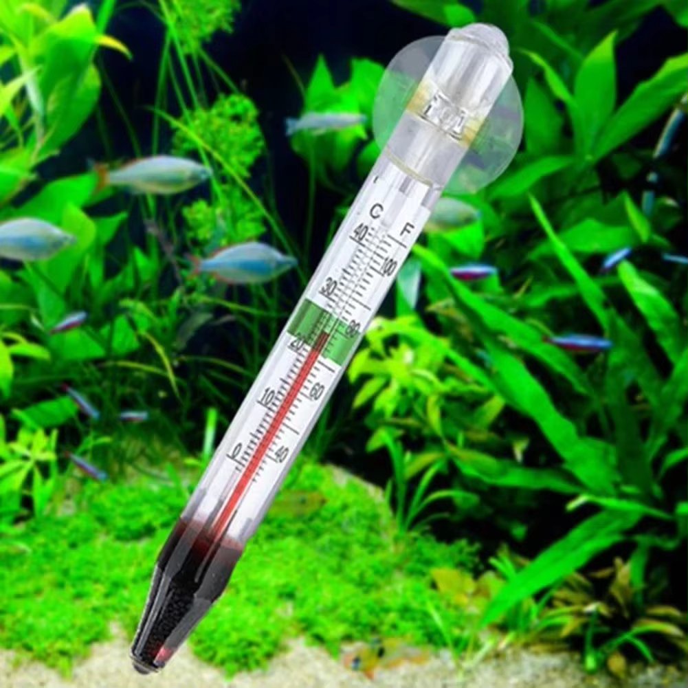 Floating Thermometer Double Layered Glass Easy Read for All Water Types Suspended Design Glass Tube with Suction Cup