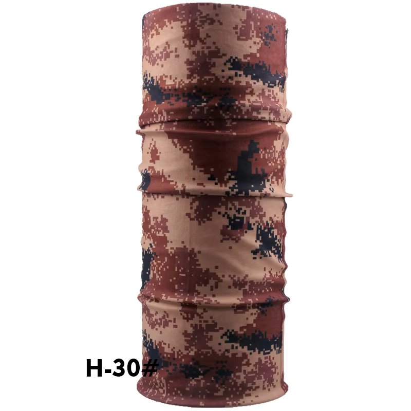 H29