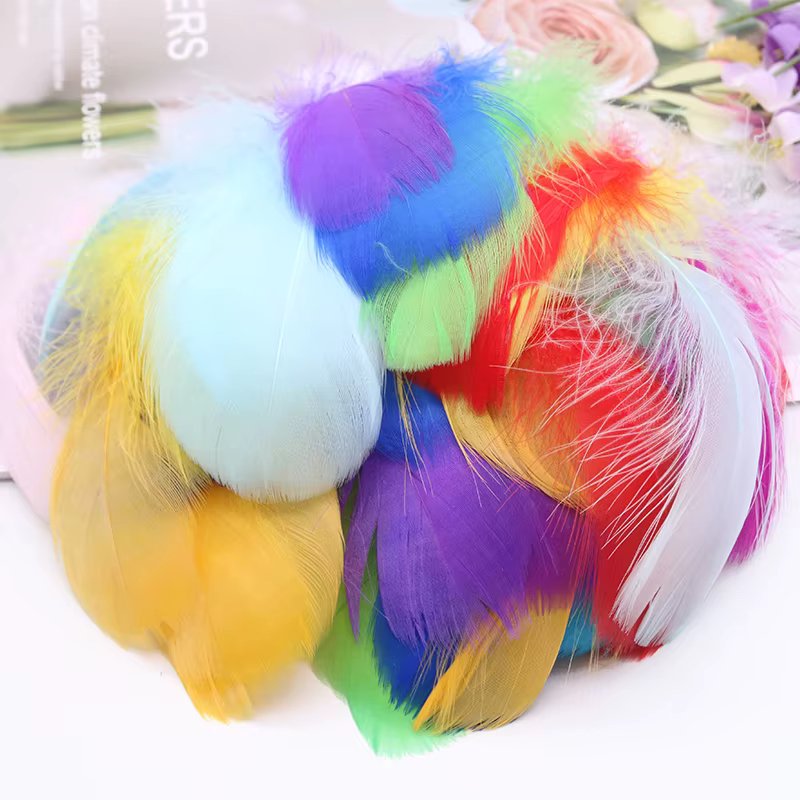 100pcs Goose Feathers for Crafts 4-8Cm Small Swan Plumas Wedding Party Handicraft Accessories Decoration Dream Catcher Feathers