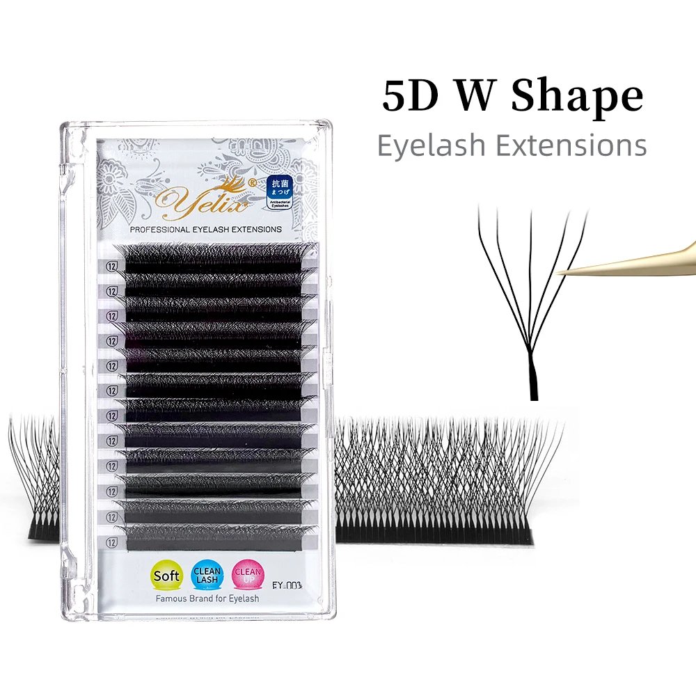 5D W Lash