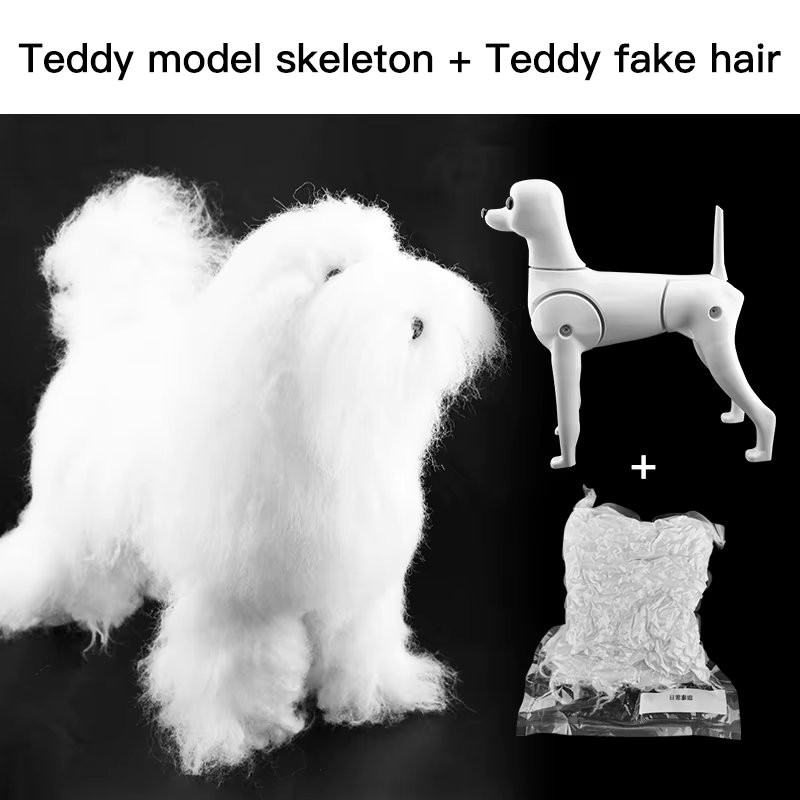 Teddy model  hair