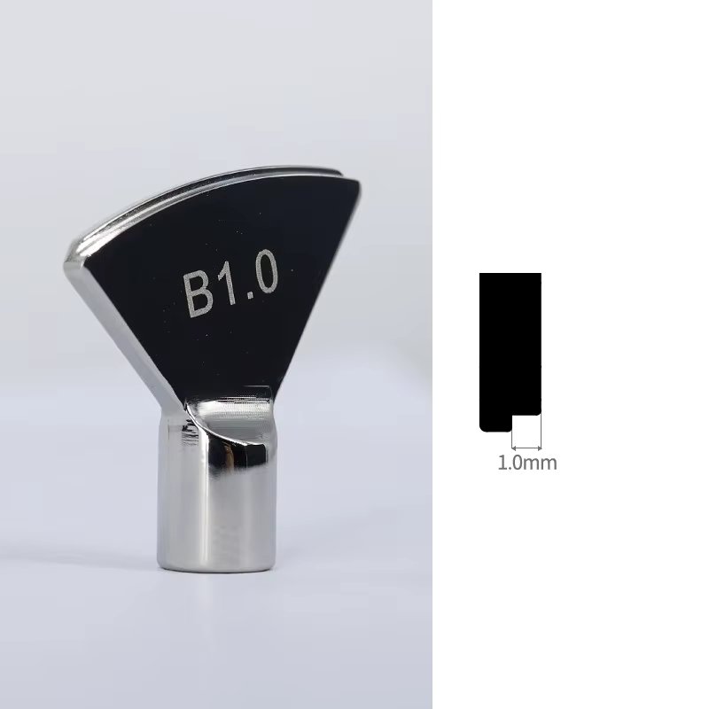 B1