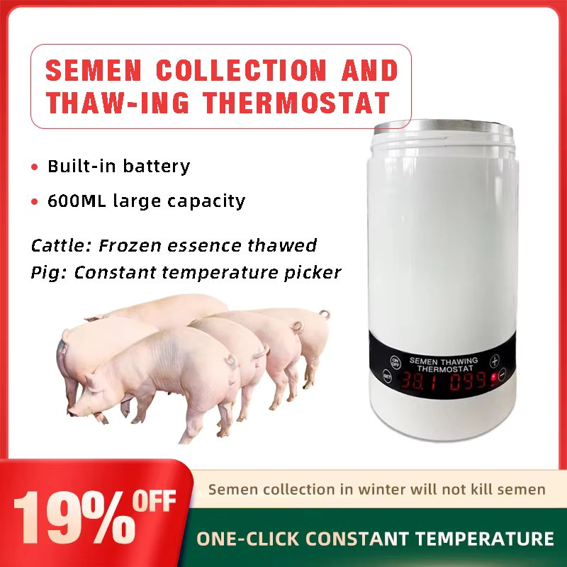 600ML Cattle Frozen Sperm Thawing Cup Boar Artificial Insemination Sperm Collection Thermos Cup  Veterinary Sperm Cup 2021 HOT