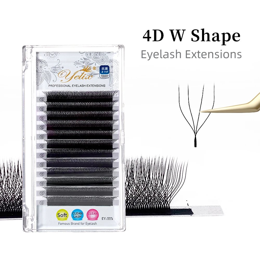 4D W Lash