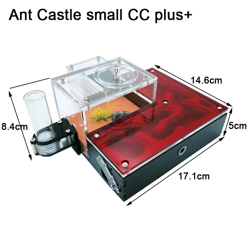 Ant Small CC plus