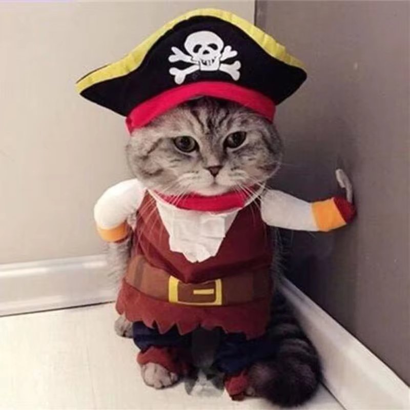 Funny Pet Clothes Cosplay Pirate Dog Cat Halloween Party Cute Comfort Costume Clothing For Small Medium Dog Corsair Dressing Up