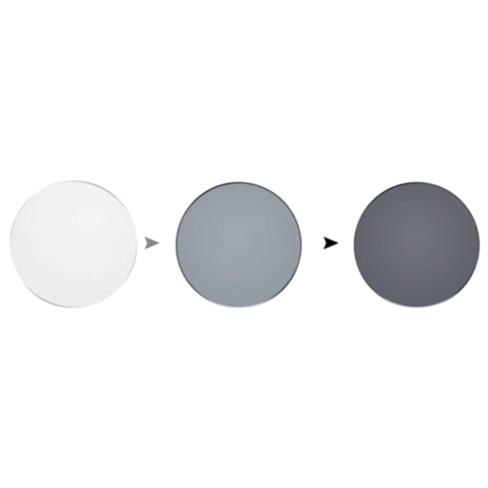 C2