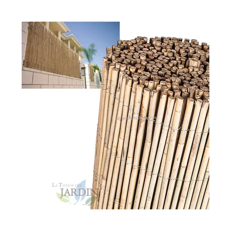 Entire bamboo reed garden 1,5x5 m, useful for concealment, delimitation or shade.