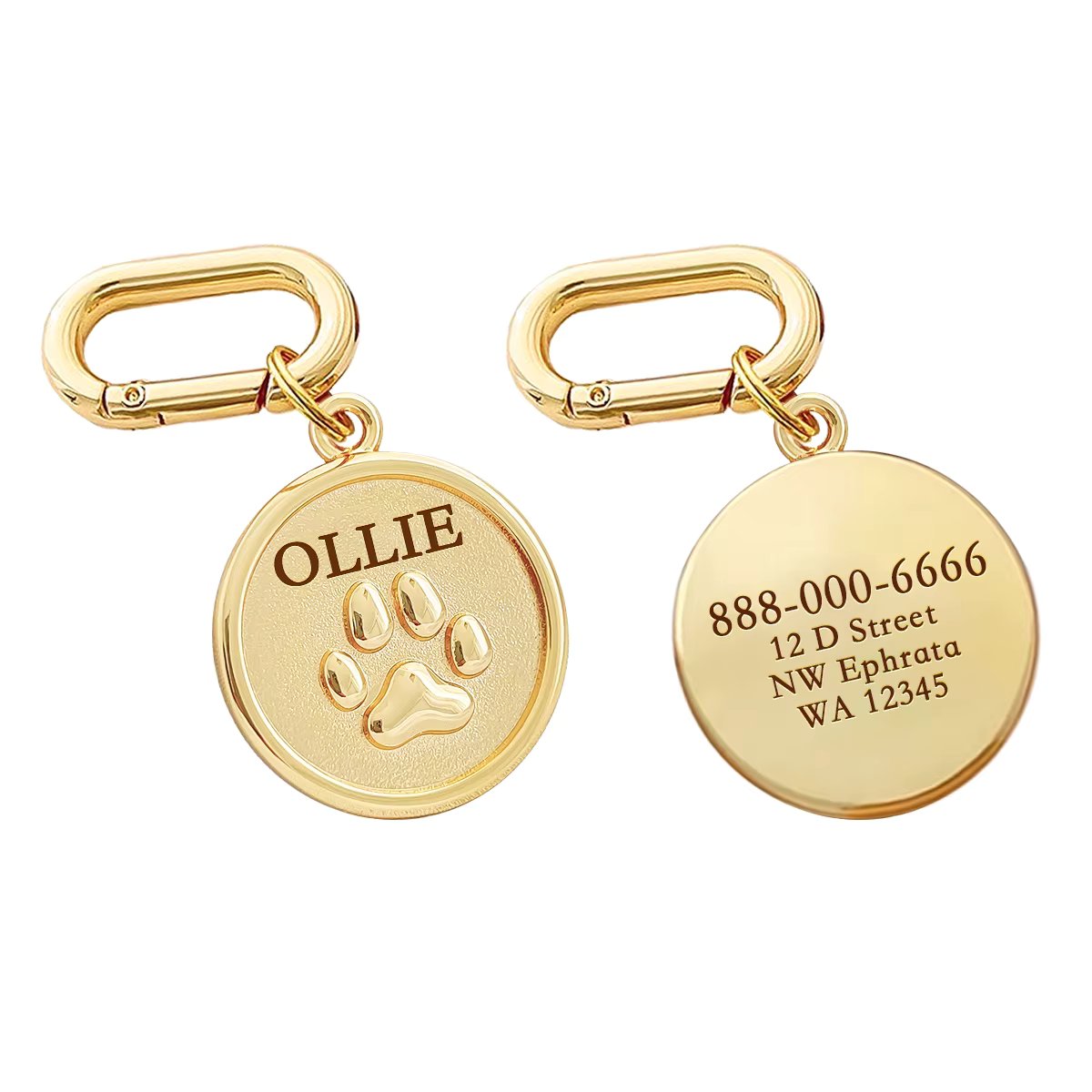 Gold Paw 1