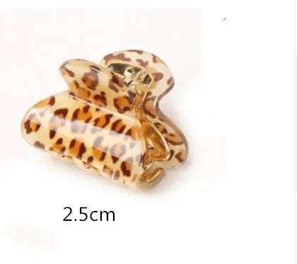 T1-2.5cm