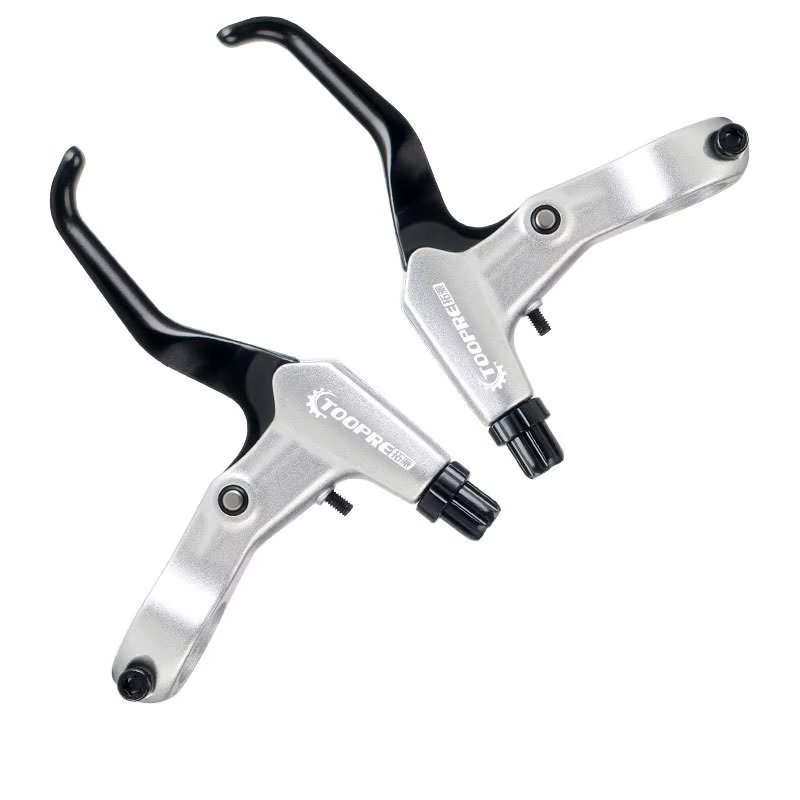 FR5 silver