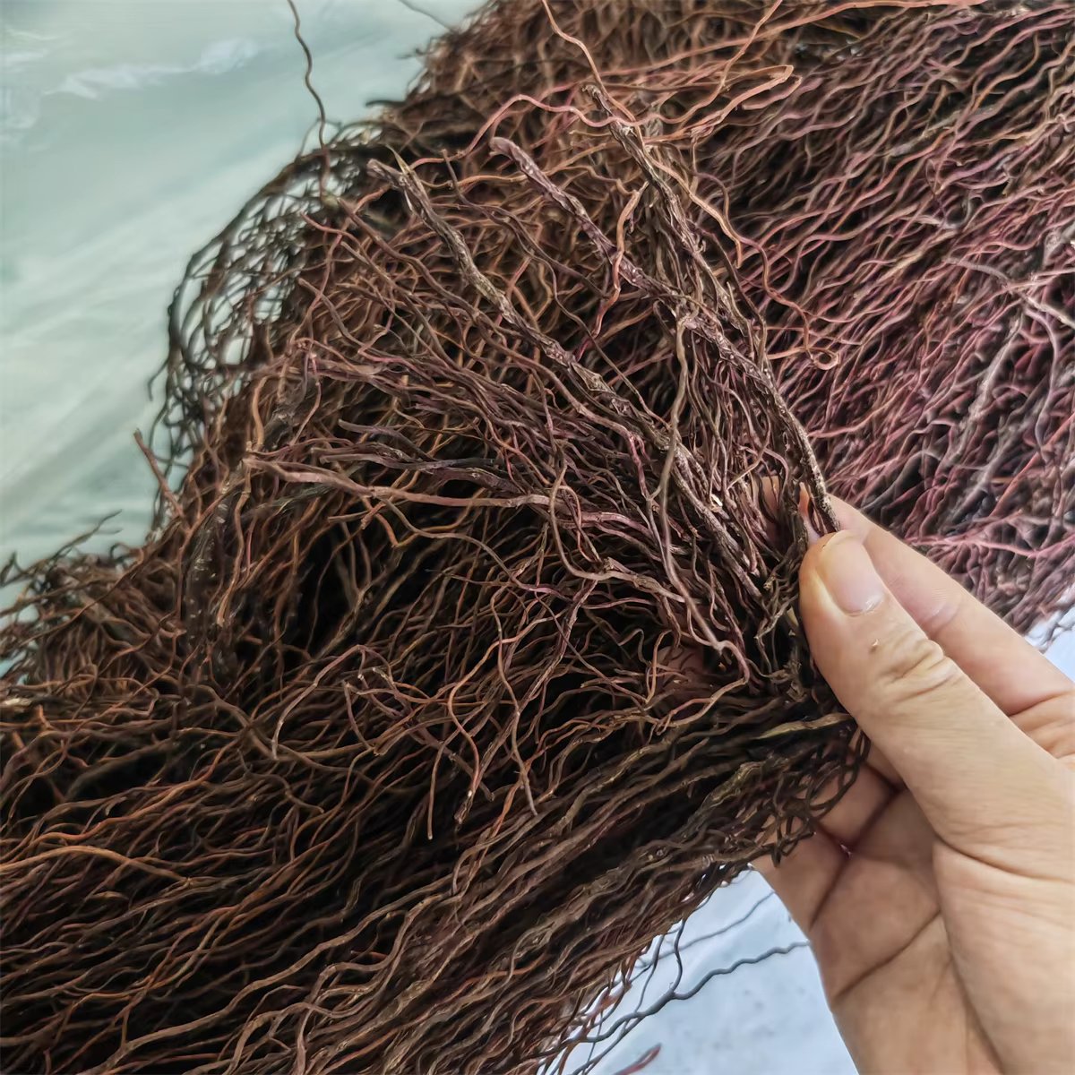 decoration aquarium natural wood aquarium tree root branch fish tank tree trunk Ecological rainforest landscape branches Plant