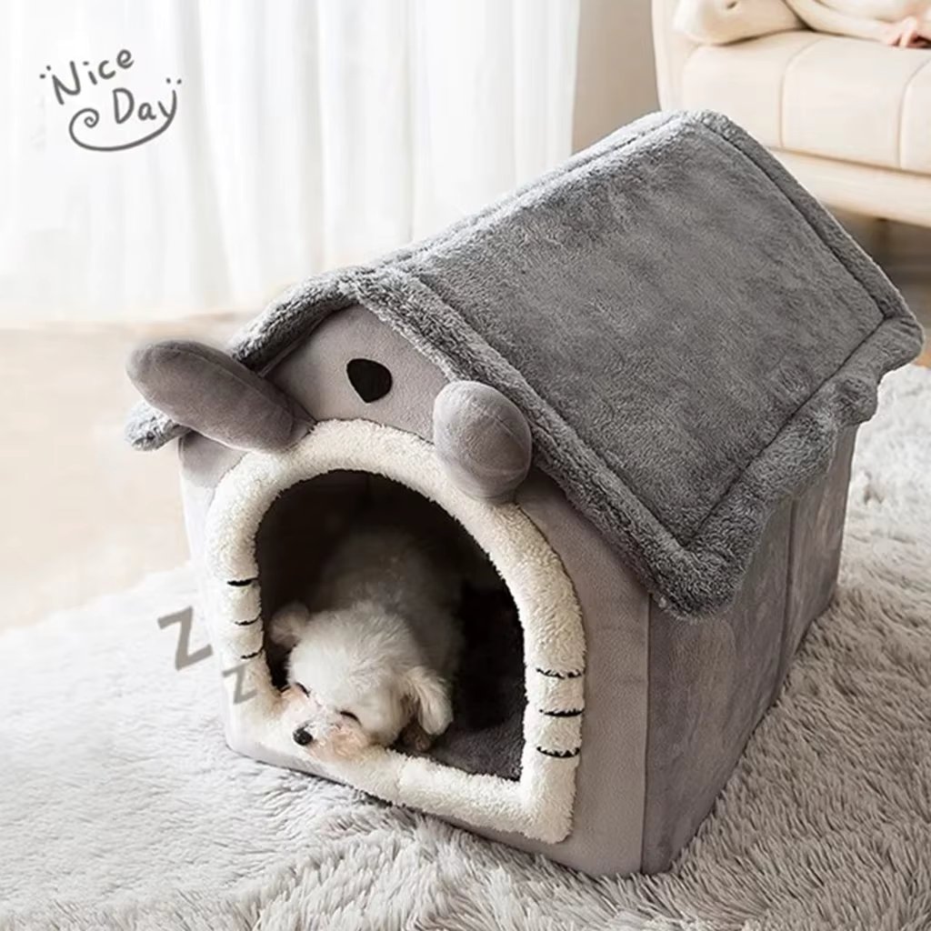 Long gray ears