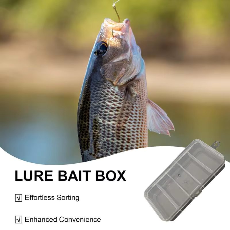 5 Grids Fishing Tackle Bait Storage Boxes Portable  Lure Hook Organizer Mini Utility Lures Fishing Box fishing accessories new