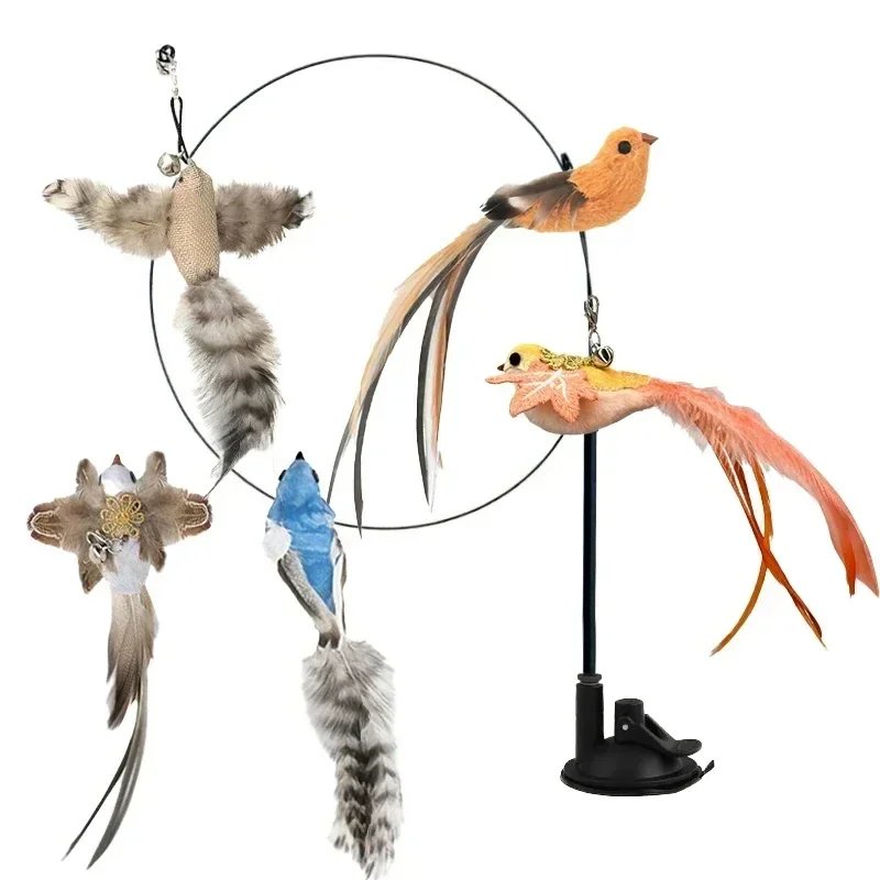 5Bird-set