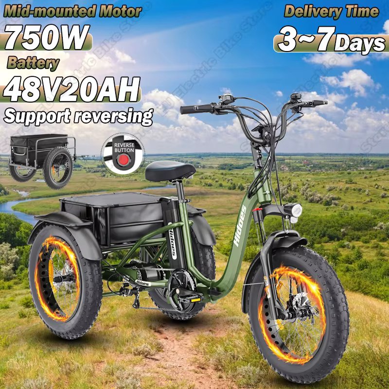 Electro Tricycle 750W Mid-mounted Motor 48V20AH Lithium Battery Support reversing Electro Trike 20*4.0 In Fat Tire Snow E-Trike