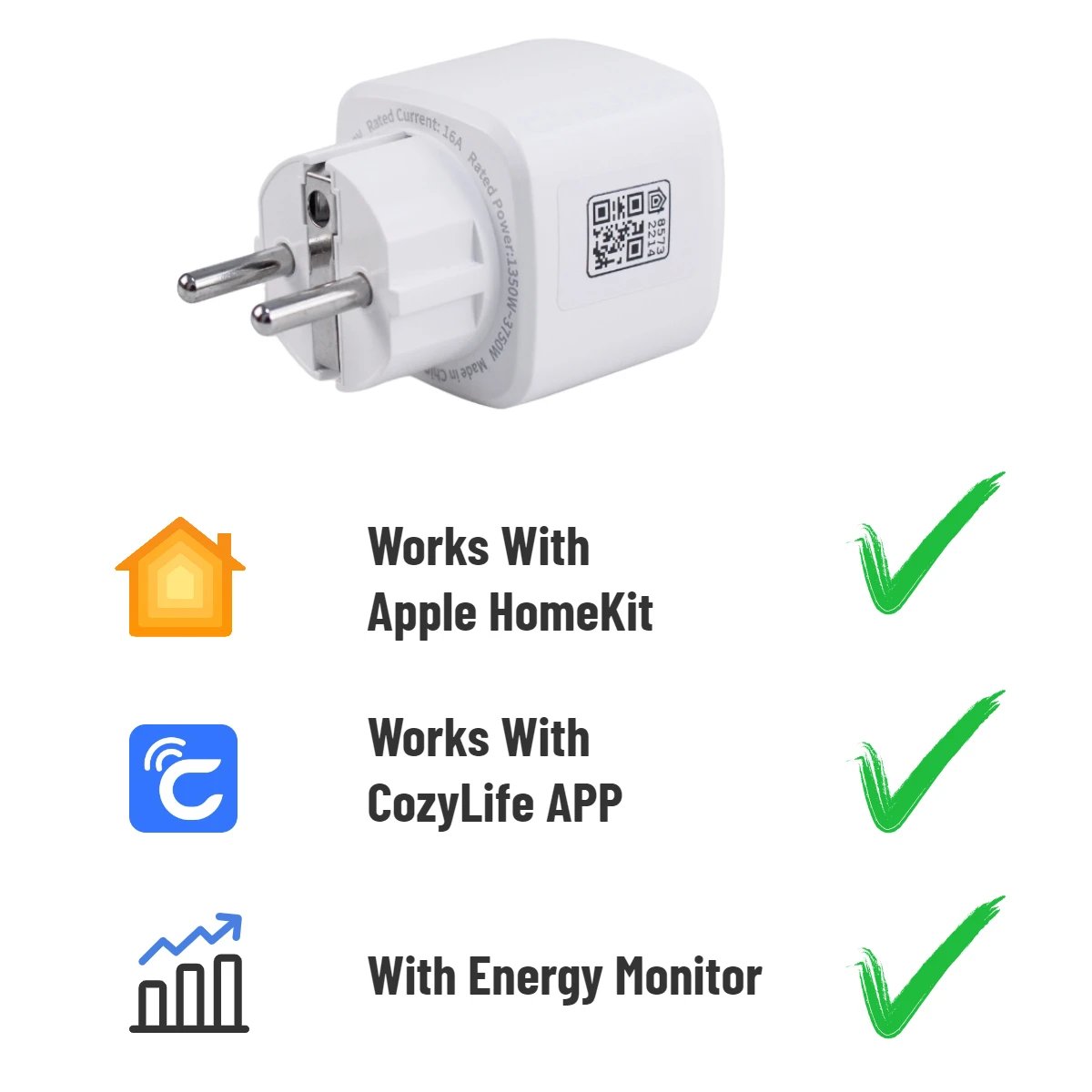 16A Smart Socket