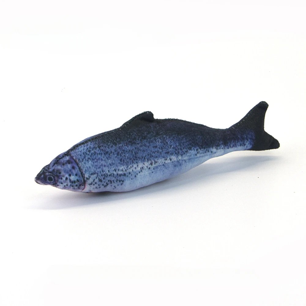 Salmon
