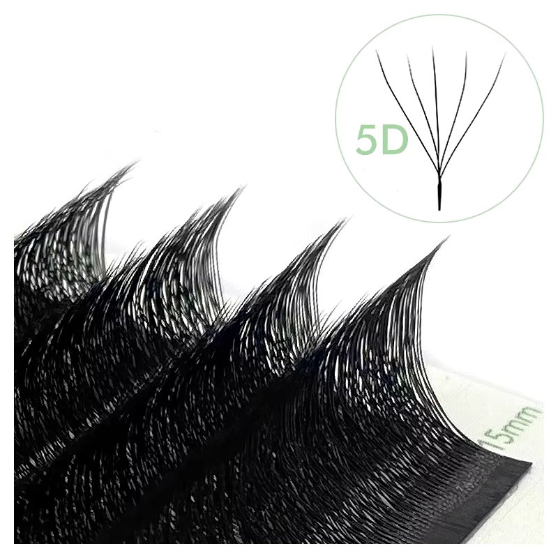 5D W Black