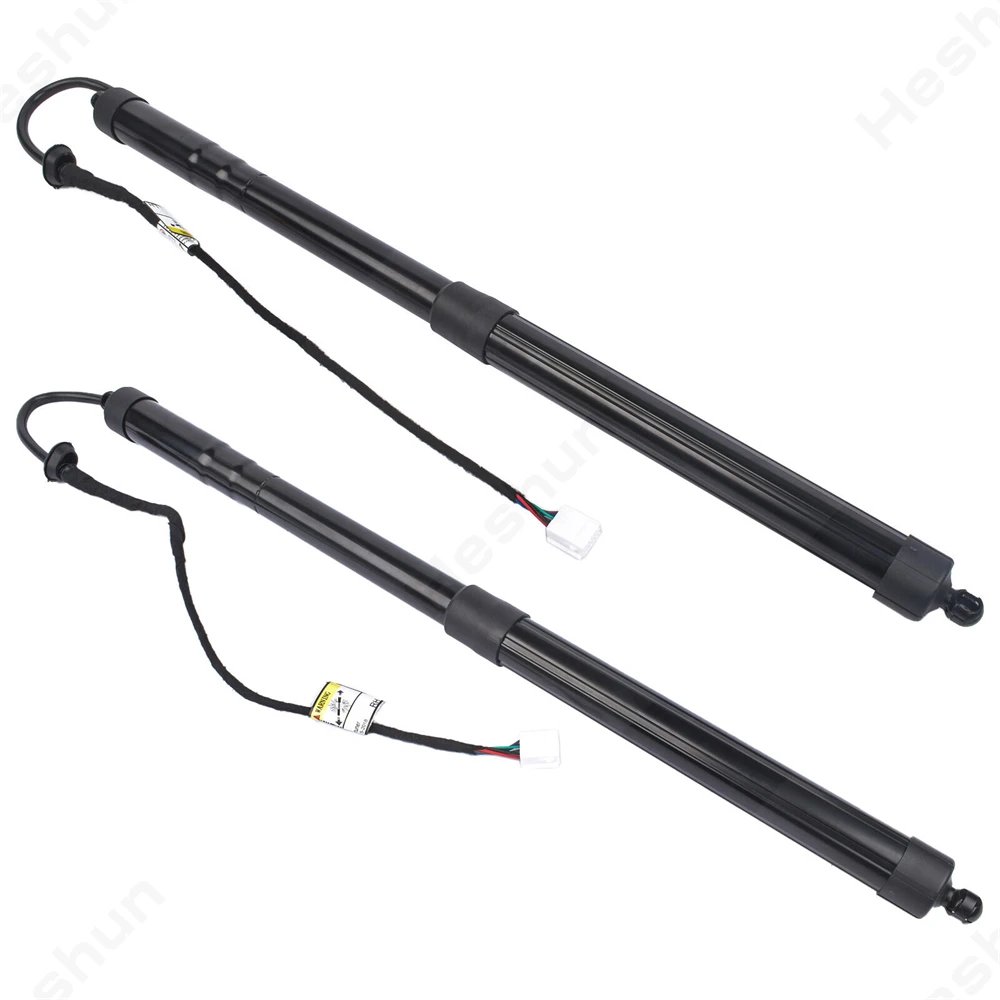 RH and LH Pair