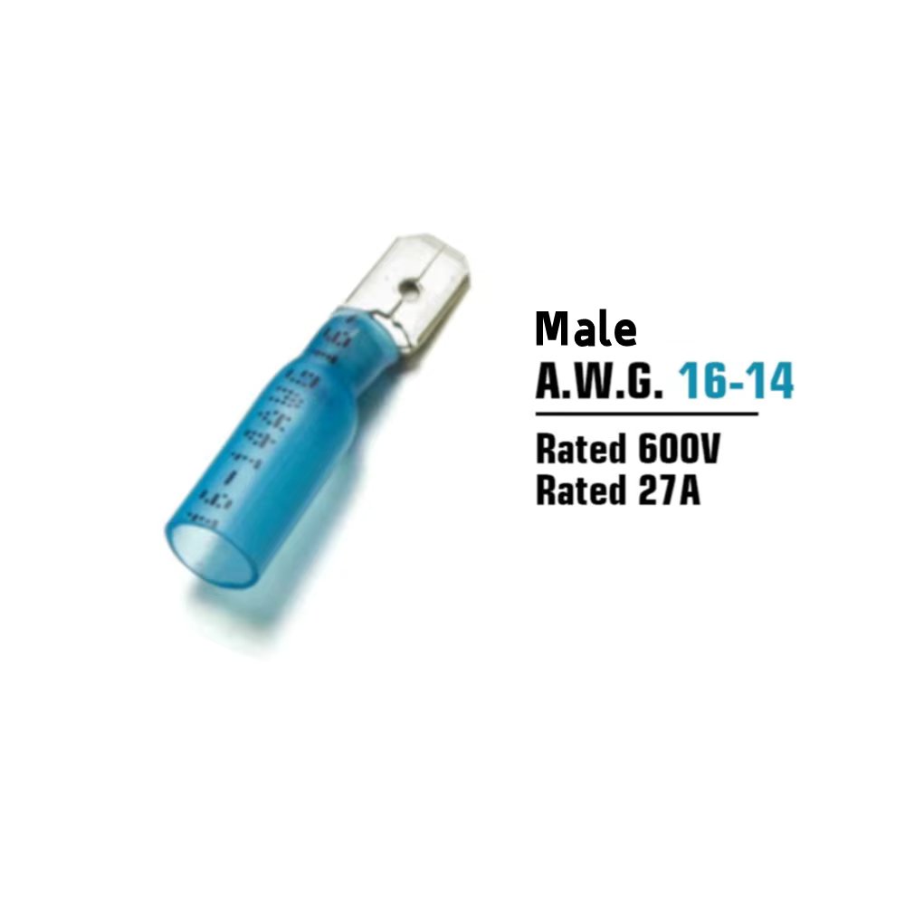 Blue Male
