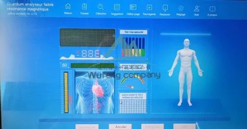 Software Download Freely QMR-998 Body Health Analyzer Quantum Resonance Magnetic Analyzer for Sub Health Scanner