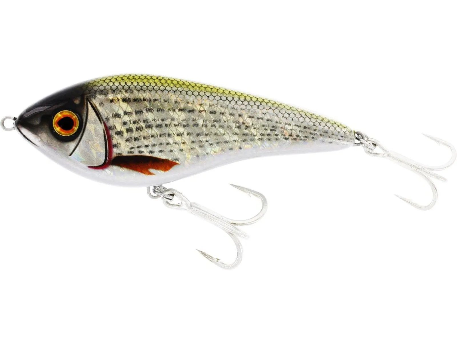 Shiny Mullet