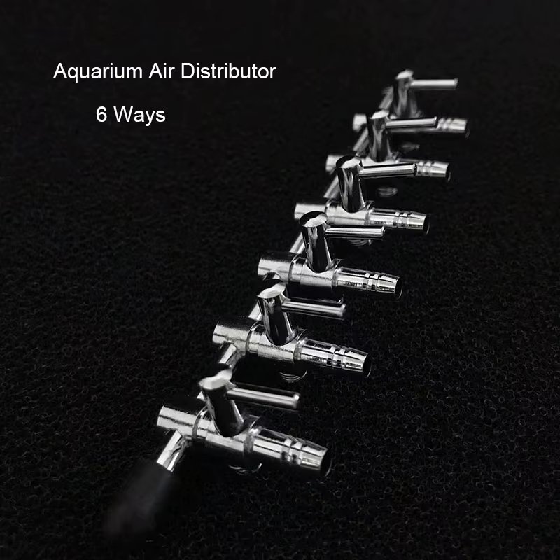 6 ways