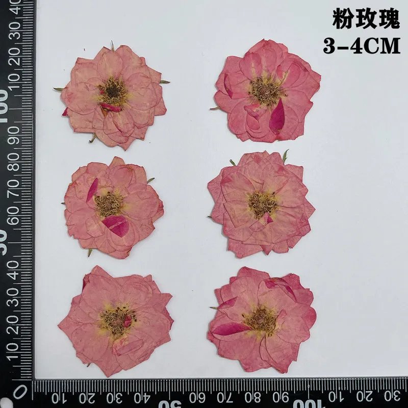 Pink 3-4cm