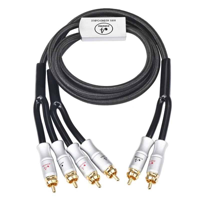 2rca to 4rca