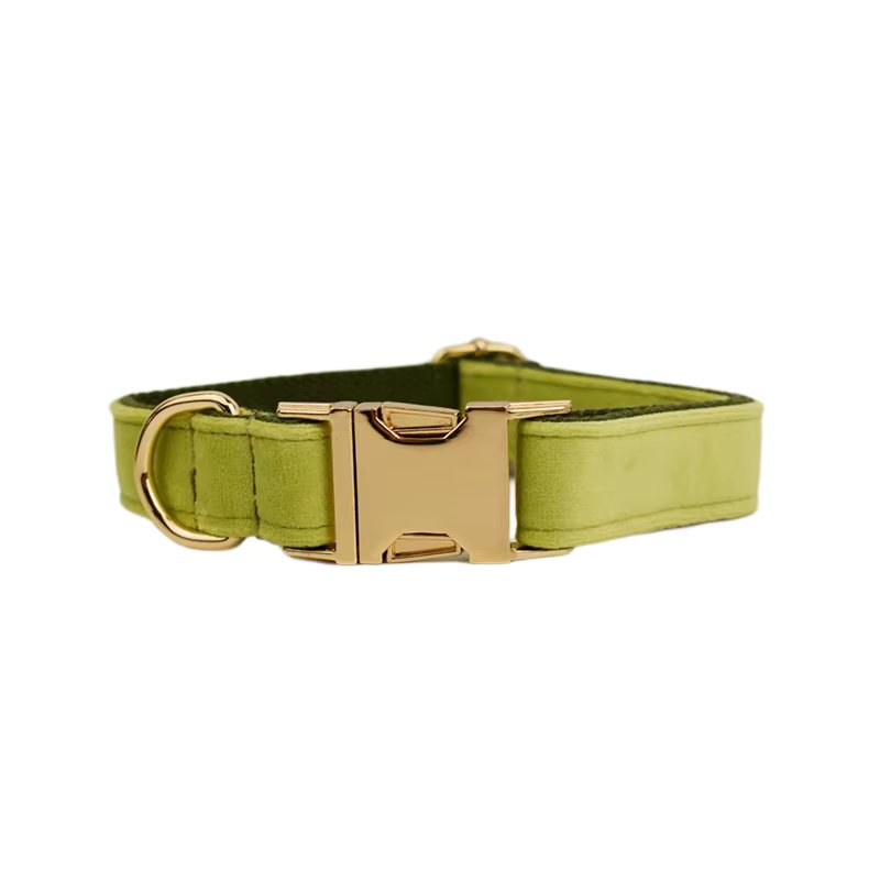 Avocado Green