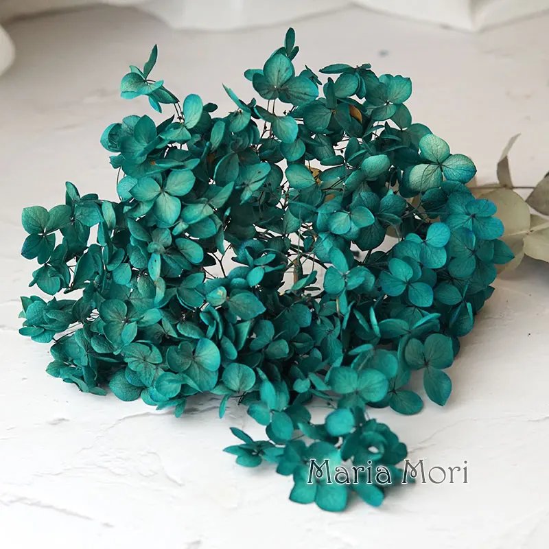 Color S006C