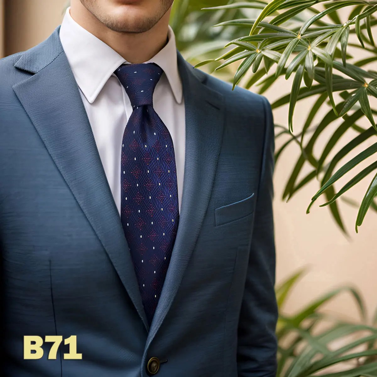 BS71