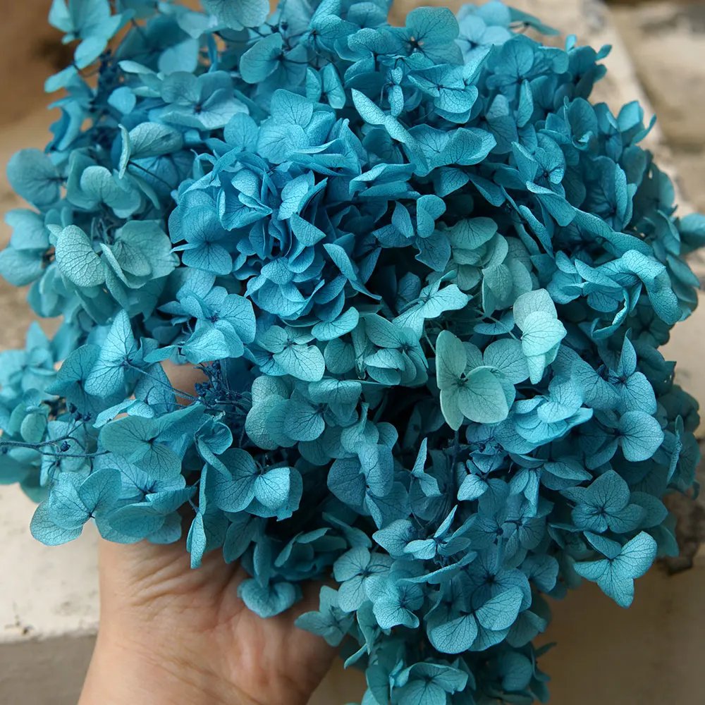 Gradient Color 73B