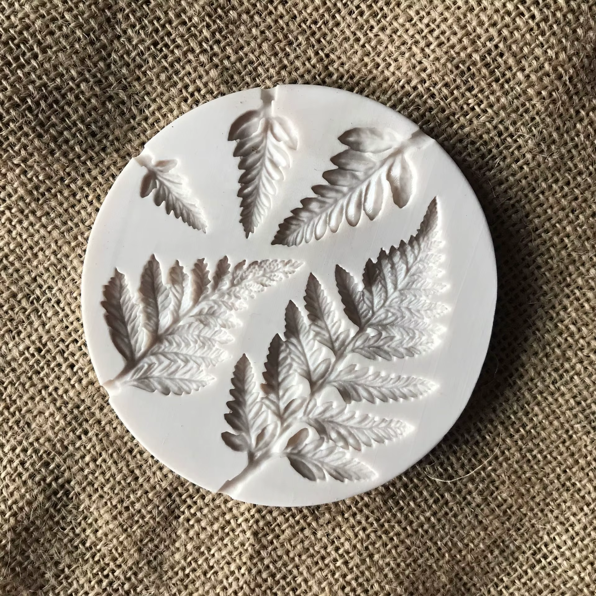 Fern leaf modeling silicone mold decoration mold aromatherapy Soap  mold