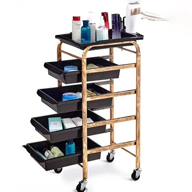 Rolling Cart Salon Trolley Storage Beauty Salon Station Storage Cart Wheels Carrello Con Ruote Aesthetic Auxiliary Cart ST01