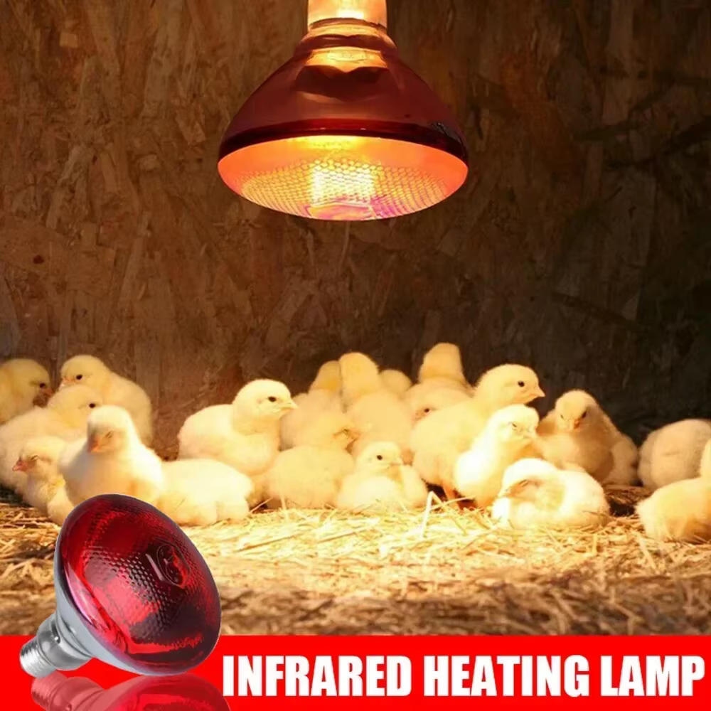 220V Poultry Heating Bulb 100/150/200/275W Infrared Insulation Heat for Reptiles Plants Amphibians Pets Livestock and Poultry