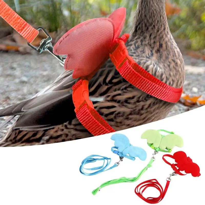 Chicken Little Angel Wings Harness Chest Strap Leash Set Traction Rope Duck Breast Strap Outing Pet Supplies Accessories Dog car