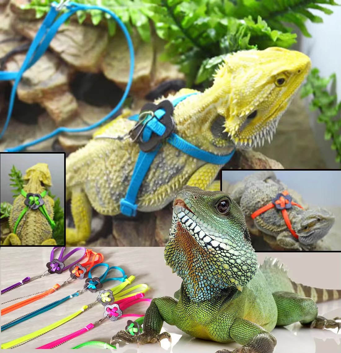 Reptile  Dragon Harness Leash Adjustable Walking Hauling Cable Belt Traction Training Rope Pet Supplies Collar Chest Strap Leash