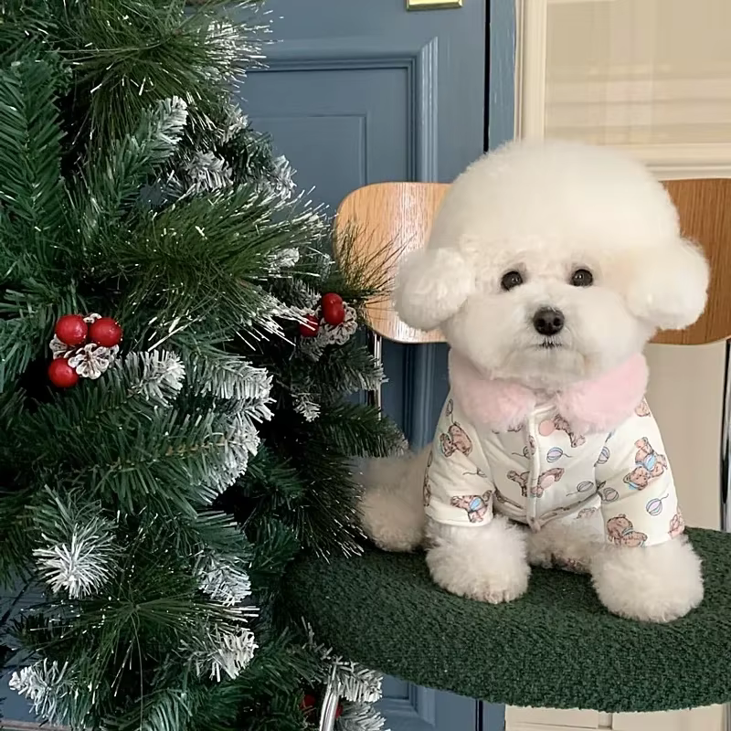 Cute Bear Print Pet Dog Clothes Pet Warm Cotton Clothes Winter Puppy Clothing Thickened Down Coat Puppy Fashionable Cardigan