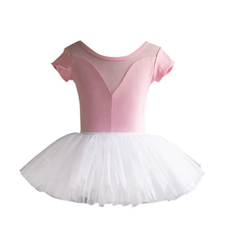 Kids Girls Ballet Gymnastic Leotard Tutu Dress Ballerina Stage Show Dancewear Children Dance Bodysuit With Mesh Tutu Skirt