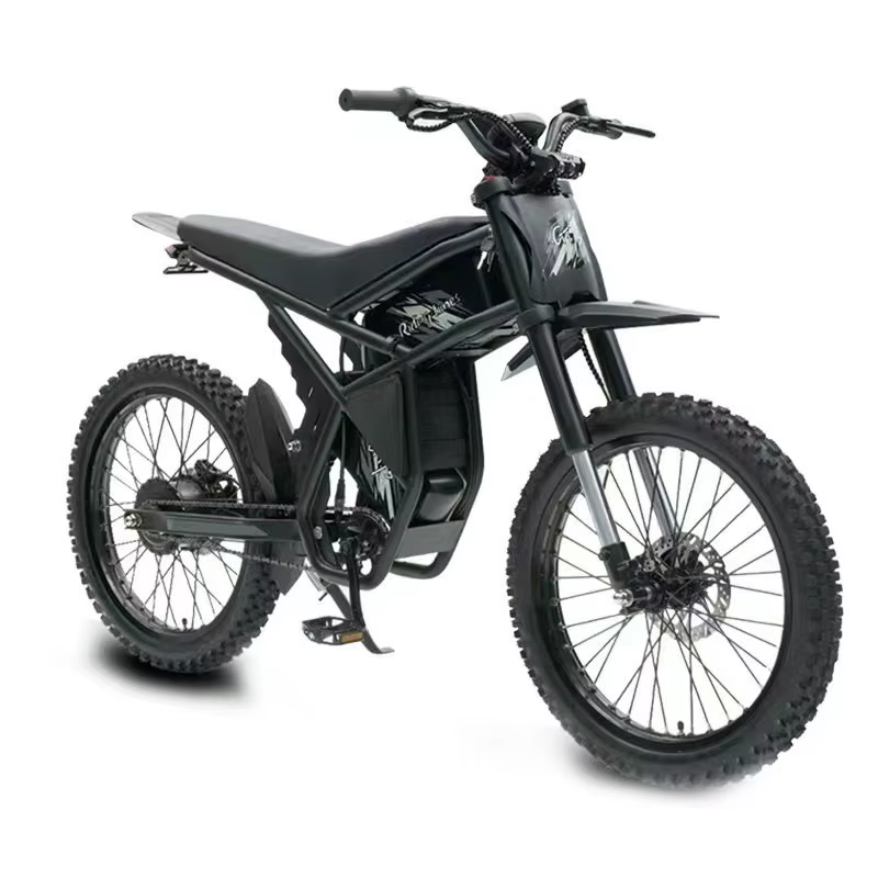 Luxury High-Power Off-Road Electric Bicycle with 48V Double Lithium Battery Steel Manufacturer's Source Offers Shock Absorption