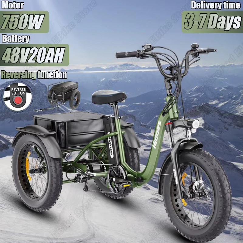HD-ET1 Electro Tricycle 750W Powerful Motor 48V20AH Lithium Battery Mountain E-Trike 20*4.0 Inch Fat Tire Snow Electro Trike