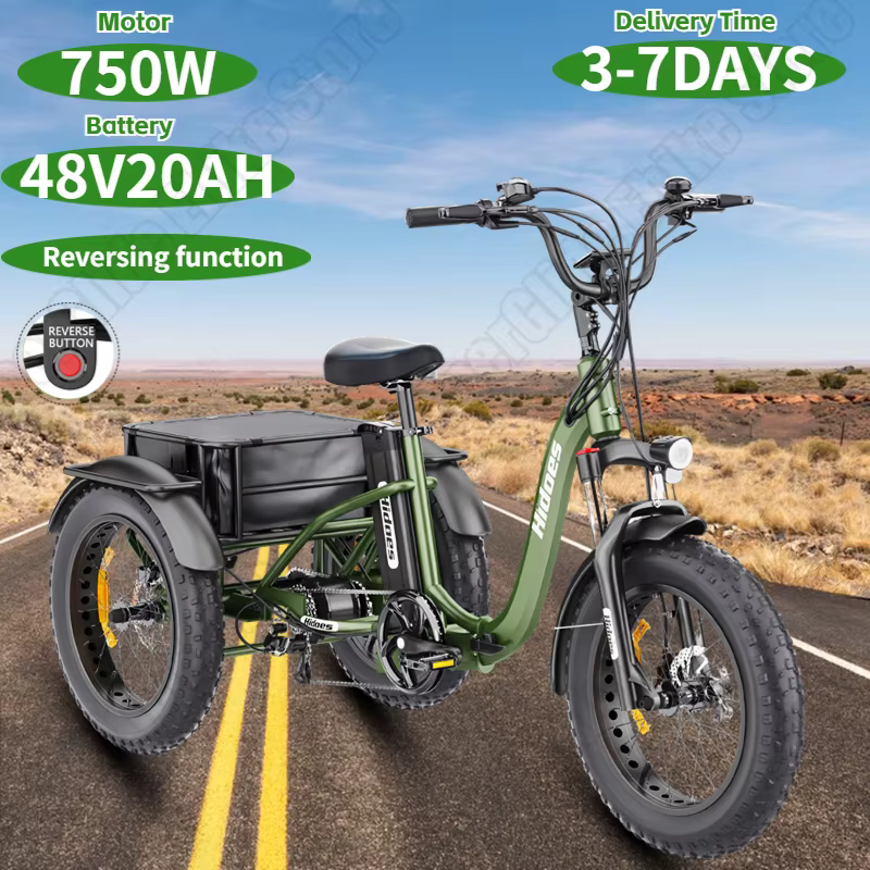 HD-ET1 E-Trike 750W Motor 48V20AH Lithium Battery Electro Trike Can Reversing Function 20*4 Fat Tire Fold City Electro Tricycle