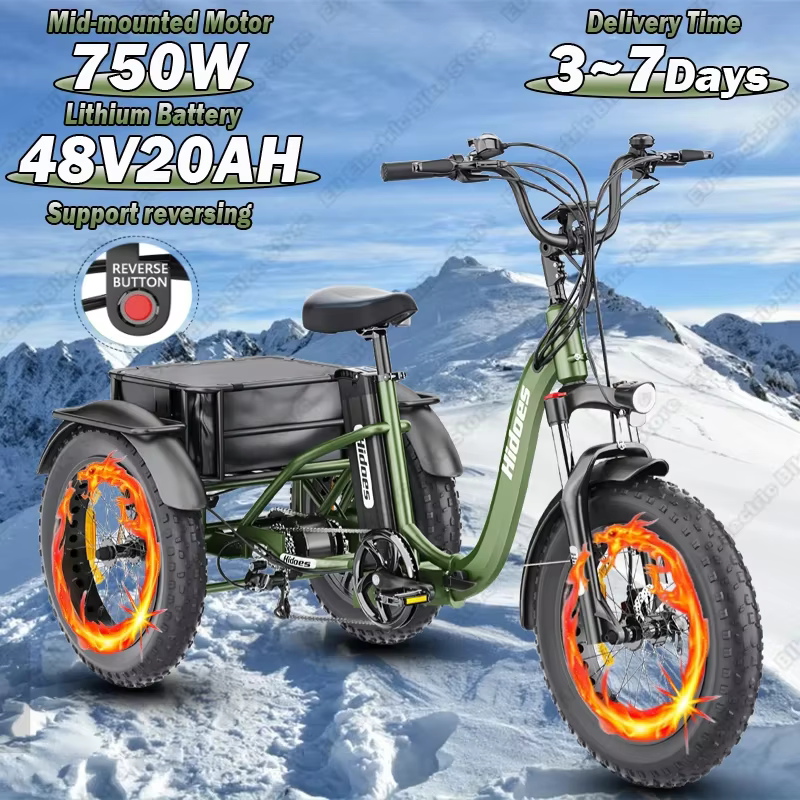 Electro Tricycle 750W Mid-mounted Motor 48V20AH Lithium Battery City Folding Electric Bike 20*4.0 Inch Fat Tire Mountain E-bike