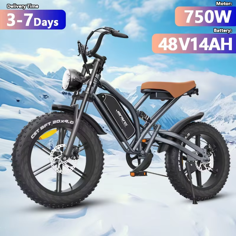 Jansno X50P E-Bike 750W Motor 48V14Ah Removable Battery Off-road Electric Bicycle 20*4.0 Inch All Terrain Fat Tire Electric Bike